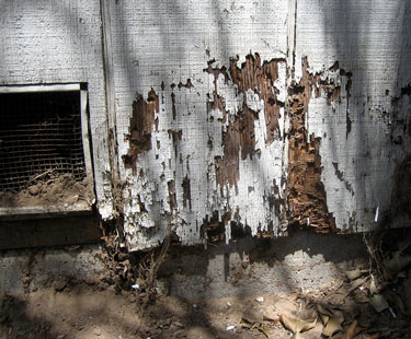 Wood destruction caused by termites.